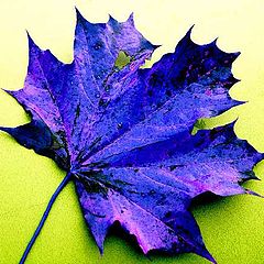 photo "Dark blue sheet with a hole"