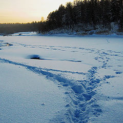 photo "Winter Evening River Frost"