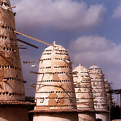 photo "Pigeon Houses"