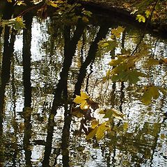 photo "The reflected world"