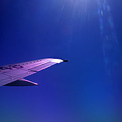 photo "Wing"