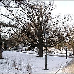 фото "Городской парк в центре города."