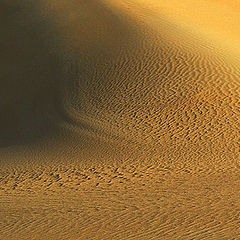 photo "Sand Dune Textures #1"