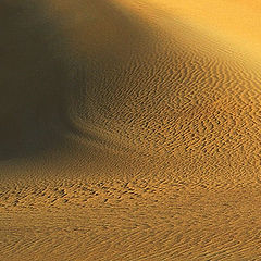 фото "Sand Dune Textures #1"