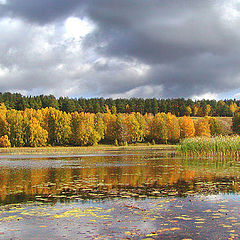 фото "Любимое место"