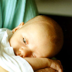 photo "The first days"