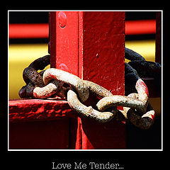 photo "Love Me Tender..."