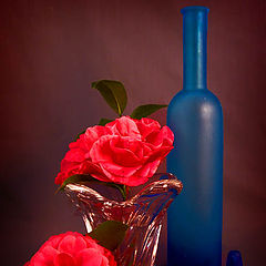 photo "Blue Bottle & Camelias"