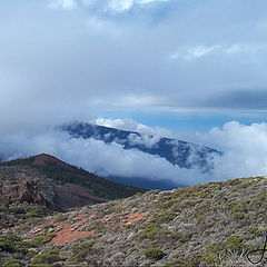 фото "Way of the Teide"