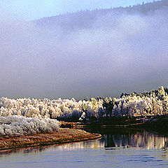 photo "foooog and  hoar frost"