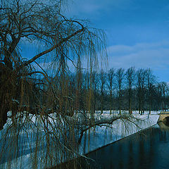 photo "Under the blue sky"