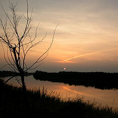 photo "The river Tura"