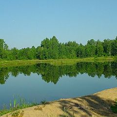 photo "Wood lake"