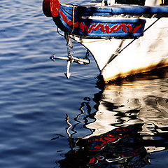 photo "Reflections"