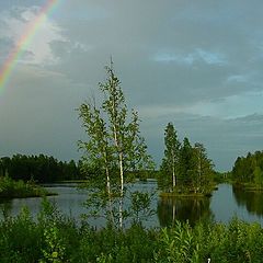 photo "Rainbow"