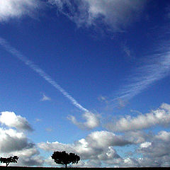 фото "blue sky"