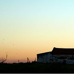 фото "House in prairie"