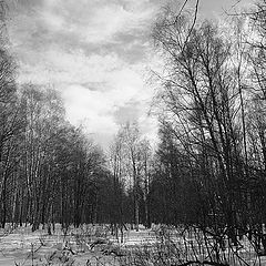 фото "Поздняя зима в Тропарёве"