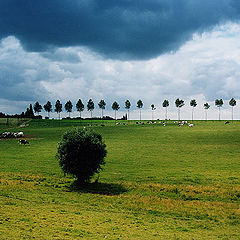 фото "Before the Storm"