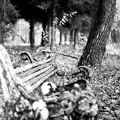 photo "A Bench"