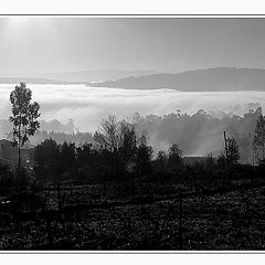 photo "The way to the Heaven...to my Mother"