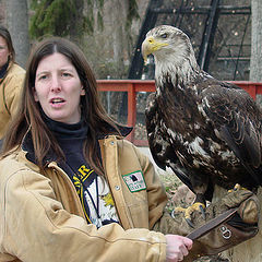 photo "A girl with an eagle"