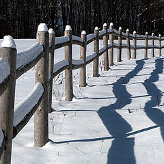 фото "Fence"