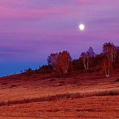 фото "moonrise"