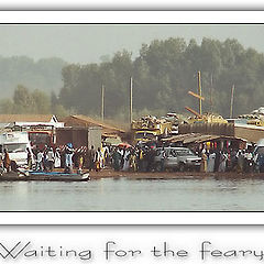 фото "Waiting for the feary"