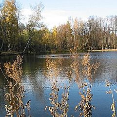 photo "Autumn pond"