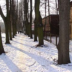 photo "Winter walk on Ulyanovsk."