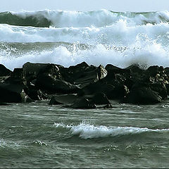 фото "il mare"