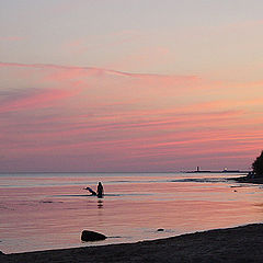 photo "Bathing on a sunset"