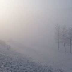 photo "Fog landscape"