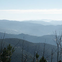 photo "a bit of my Country (Trбs-os-Montes)"