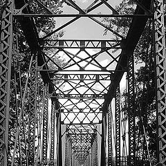 photo "Railroad Bridge"