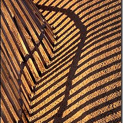 photo "Ribs of Sand"