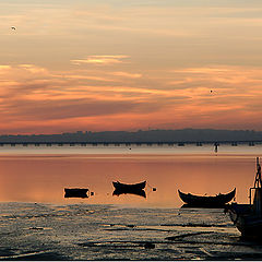 photo "Four boats"