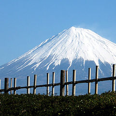 фото "The Little Hill in my Backyard"