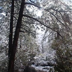 photo "My Magical Mountain Pathway....."