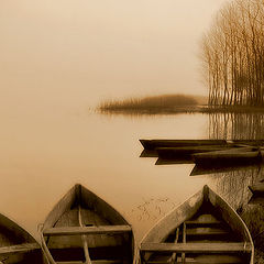 photo "The Lake"