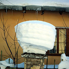photo "the last snow"