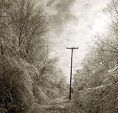 photo "THE ICE STORM I"