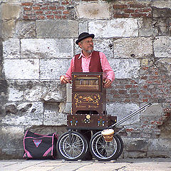 photo "The Musician - Honfleur - France"