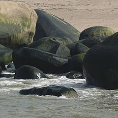 photo "Rocks"