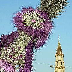 photo "Vilnius, Kaziukas 2003"