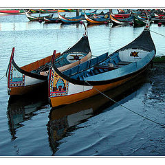 photo "The Fleet cry of Freedom"