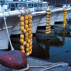 photo "At the Dock"