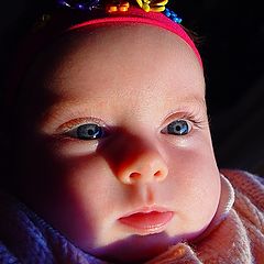 фото "The Meaning of Life"