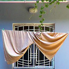 photo "Curtains"